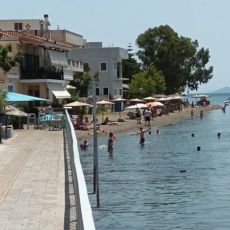 The Country House In Amarynthos Yimnon Eksteriør bilde